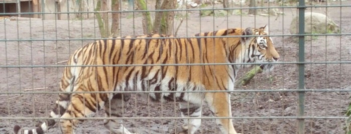 Zoo „Arche Noah“ is one of Tempat yang Disukai Maike.