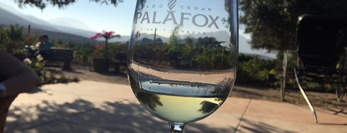 Vinos y Viñedos Aldo Cesar Palafox is one of GxMxZさんのお気に入りスポット.