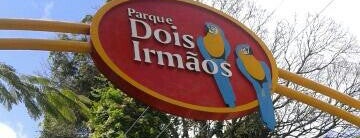 Parque Dois Irmãos is one of Recife & Olinda.