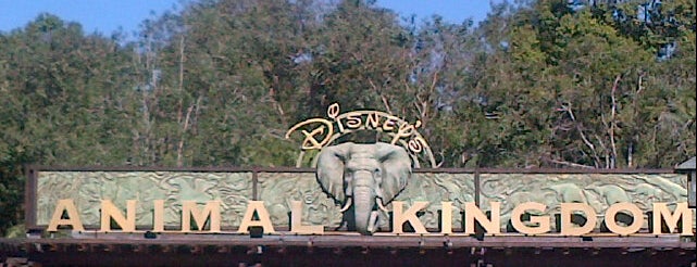 Disney's Animal Kingdom is one of Florida.