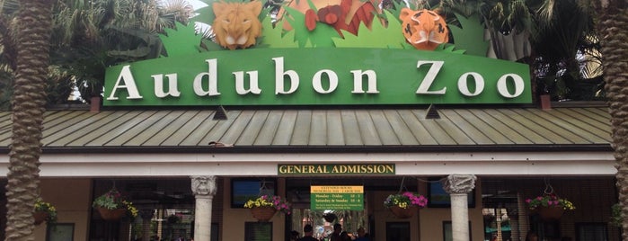 Audubon Zoo is one of New Orleans Essentials.