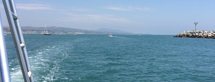 Dolphin & Whale Safari Boat is one of California.