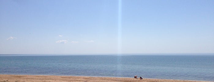 Золотой пляж is one of Crimea.