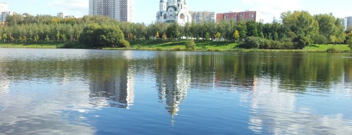 Большой Солнцевский пруд на Сетуньке is one of Солнцево.