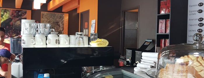 Must-visit Cafés in Xalapa