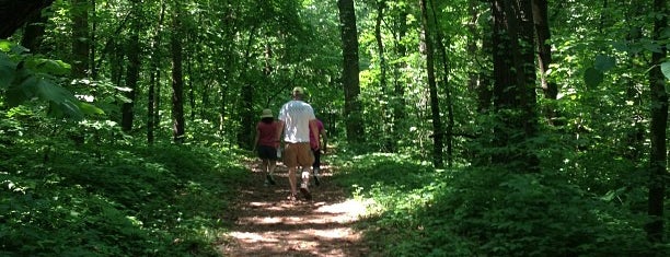 White Pines State Park is one of Hiking in Northeast Illinois.