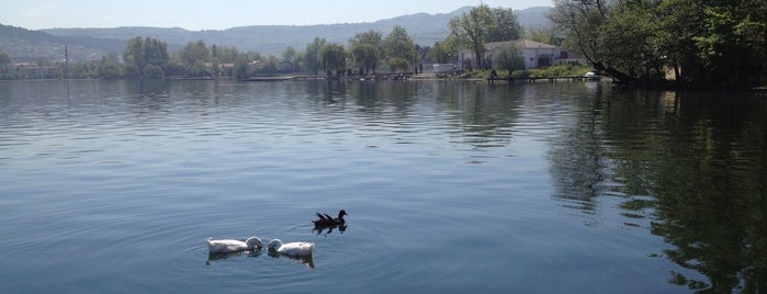 Lieux qui ont plu à Bahar