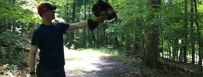 Falconry at The Homestead is one of Don't-Miss Homestead Activities.