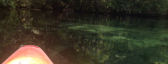 Econfina Creek is one of Roadtrip USA.