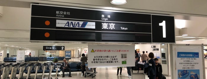 Baggage Claim is one of 日本の空港.