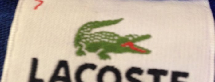 Lacoste is one of Shopping Center Norte.