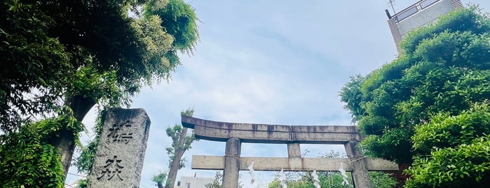 鳩森八幡神社 is one of 御朱印もらったリスト.