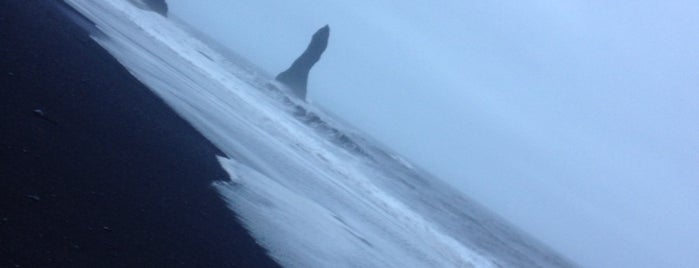 Reynisfjara is one of สถานที่ที่ Magaly ถูกใจ.