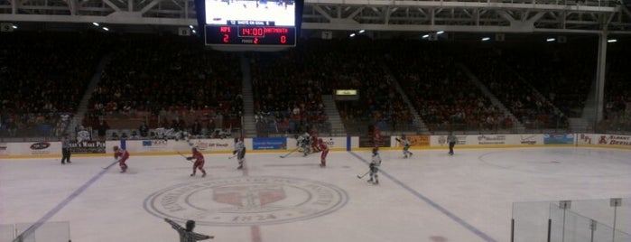 RPI Houston Field House is one of College Hockey Rinks.