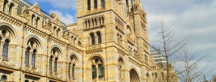 Musée d'Histoire Naturelle de Londres is one of The Best Places On The World part 1..
