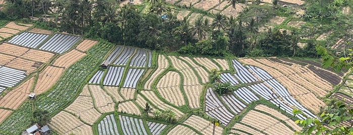 Sidemen Village is one of bali for tourist ( attraction, beaches, good food).