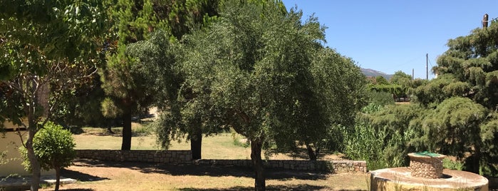 lithies organic farm is one of Zakynthos.