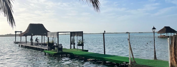 Hostal tortuga is one of Bacalar.