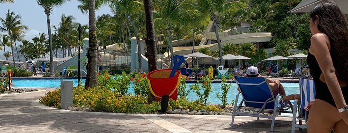 Coqui Water Park is one of A Guide to: El Conquistador.