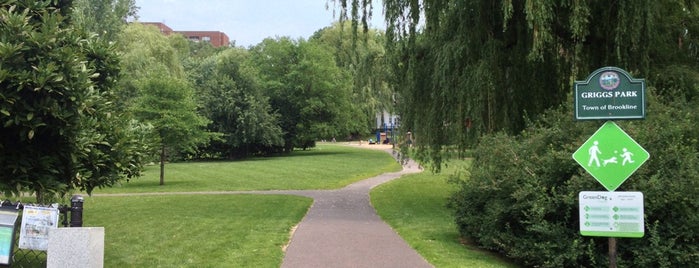 Griggs Park is one of Lugares favoritos de Joel.