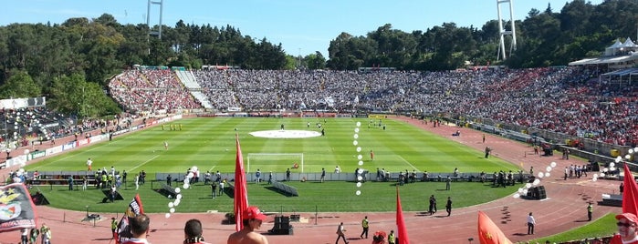 Estádio Nacional do Jamor is one of TOP Oeiras.