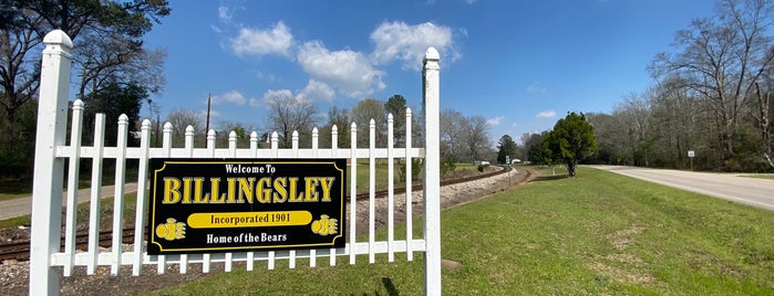Billingsley, AL is one of Cities Visited:.