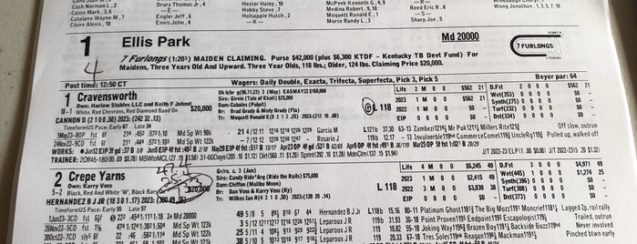 Ellis Park Race Track is one of 808 Center Street, Henderson, Kentucky 42420.