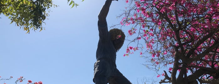 Monumento "El Pibe" Valderrama is one of Colombia.