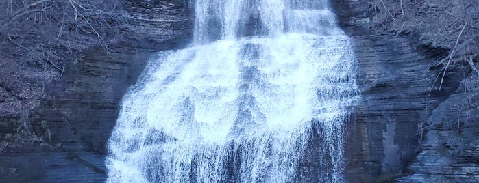Shequaga Falls is one of Finger Lakes.