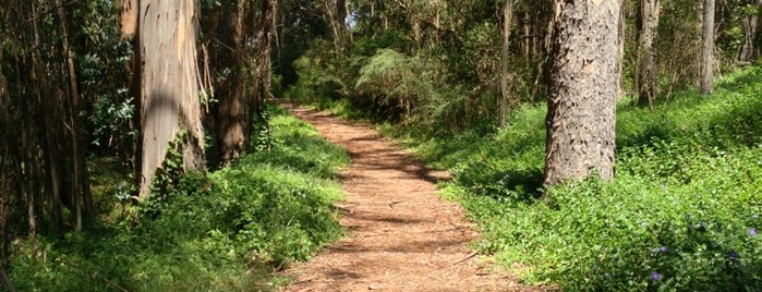 Paul Sweet Hiking Trail is one of Bisola Akinyemi.