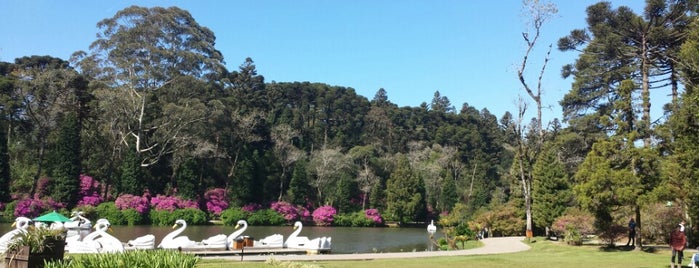 Parque do Lago Negro is one of Alexandreさんのお気に入りスポット.