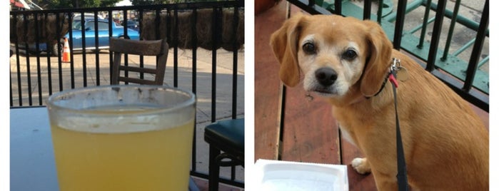 San Francisco Rose is one of Dog Friendly Places in Dallas.