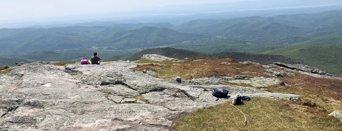 Camel's Hump State Park - Summit is one of Things to do this summer.