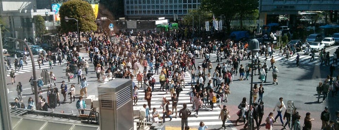 Shibuya is one of Tokyo.