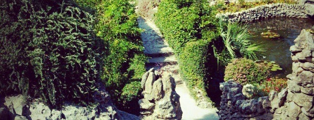 Japanese Gardens is one of San Antonio.