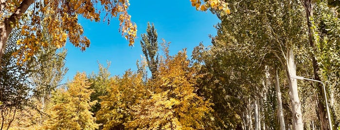 Парк Победы / Victory park is one of Kırgızistan.