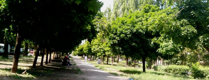 Бульвар на Антонова is one of Никаさんの保存済みスポット.