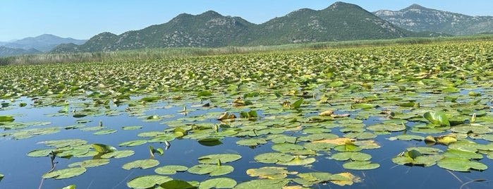 Skadarsko jezero is one of Podgorica, montenegro.