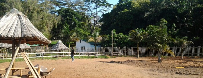 Entebbe Botanical Garden is one of Cody : понравившиеся места.