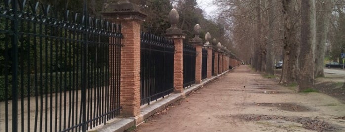 Jardines del Príncipe is one of Madrid Comunidad.