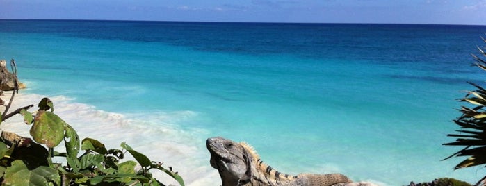 Tulum Archeological Site is one of Cancun.