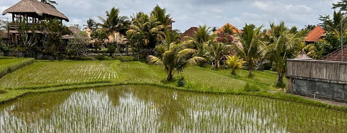 Ceking Rice Field Terrace Tegalalang is one of Bali.