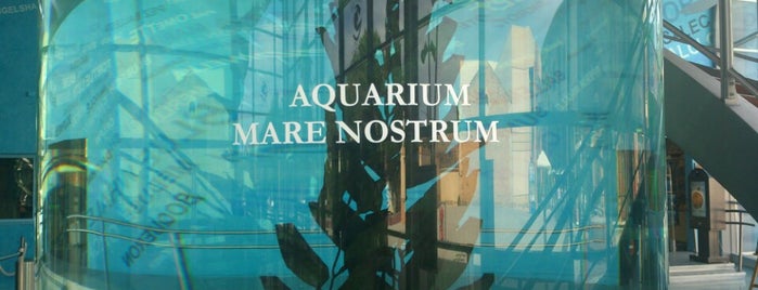 Aquarium Mare Nostrum is one of Gespeicherte Orte von Tressie.