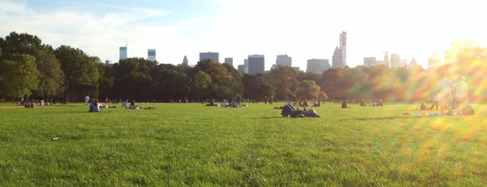 Great Lawn is one of Central Park🗽.