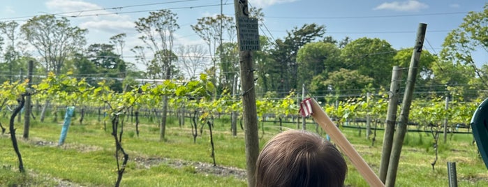 Loughlin Winery is one of Long Island Activities.