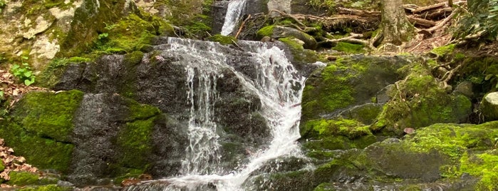 Buttermilk Falls is one of NJ Waterfalls.