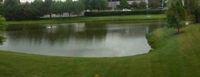 Chicago Marriott Southwest at Burr Ridge is one of Tempat yang Disukai Dima.