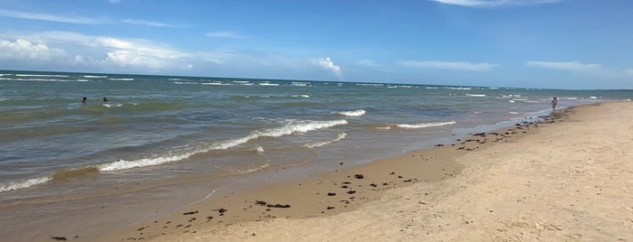 Praia do Mucugê is one of Kleber : понравившиеся места.