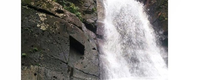 El Yunque National Forest is one of สถานที่ที่ Gabriel ถูกใจ.