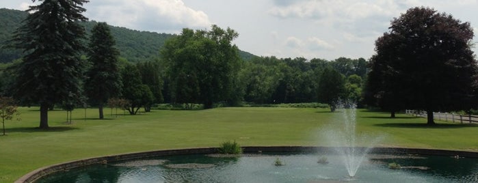 Chenango Commons Golf Course is one of Sports.